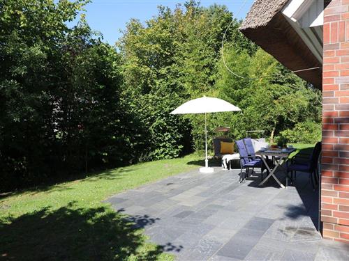 Holiday apartment - 3 persons -  - Grüner Winkel - 18375 - Erholungsort Born