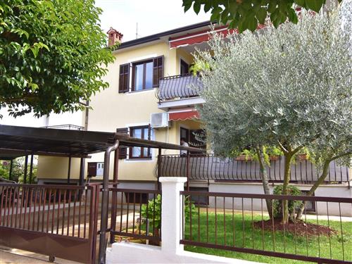 Ferielejlighed - 2 personer -  - Bruštoloni - 52470 - Umag