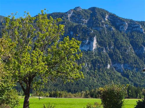 Ferielejlighed - 4 personer -  - Ecker Straße - 83334 - Inzell