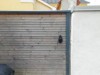 Bilde 22