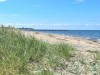 Bild 31 - Område