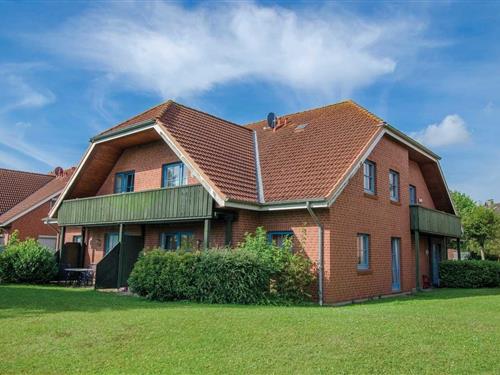 Ferieleilighet - 2 personer -  - An der Aue - 23747 - Dahme