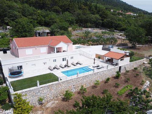 Villa - 8 personer -  - 20215 - Gruda, Dubrovnik Region