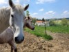 Bild 21 - Ude