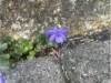 Bild 35