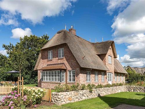 Sommerhus - 8 personer -  - Haus No. - 25938 - Oldsum