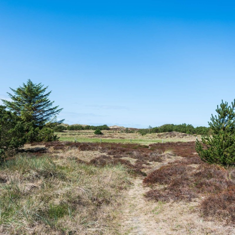 Ferienhaus - 6 Personen -  - Hedetoftvej 34 B - Blavand - 6857 - Southern West Coast