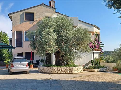 Ferielejlighed - 2 personer -  - Palit - Rab - Palit - 51280 - Palit