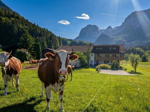  - 2 personer -  - Hinterseer Straße - 83486 - Ramsau
