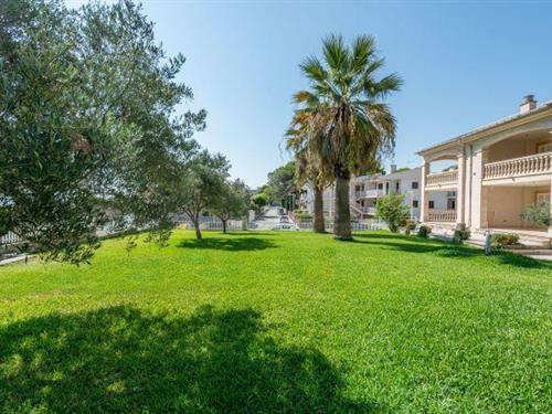 Ferienhaus - 5 Personen -  - 07408 - Alcudia