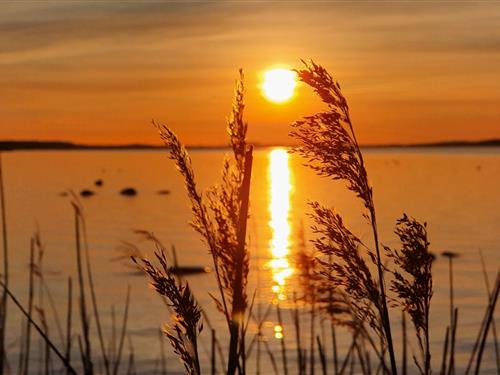 Bungalow - 2 personer -  - Stahlbrode - 18519 - Sundhagen