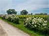 Bild 35 - Aussen