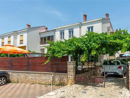 Semesterlägenhet - 8 personer -  - Monte Paradiso - 52100 - Pula