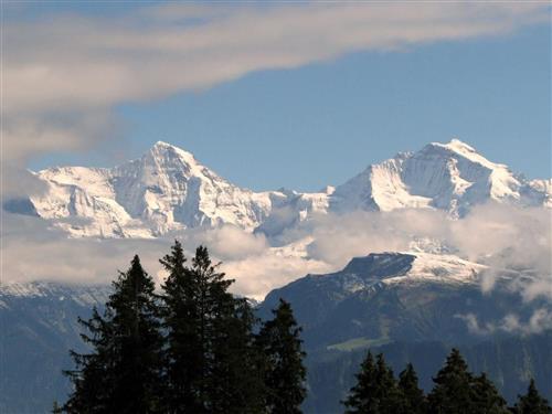 Holiday apartment - 4 persons -  - Beatenberg - 3803