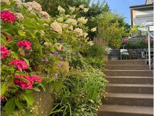 Sommerhus - 4 personer -  - 88662 - Überlingen-Nußdorf