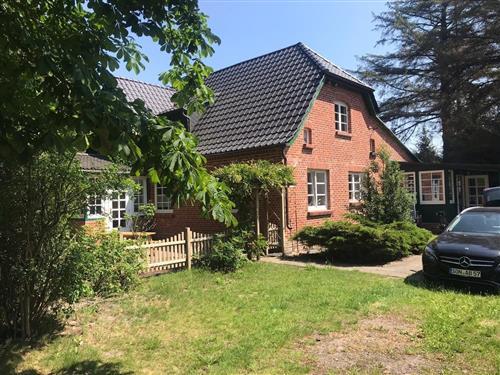 Ferienhaus - 4 Personen -  - Im Schüning - 18375 - Prerow