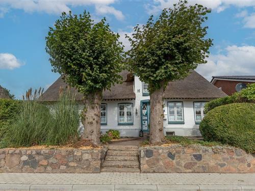 Ferienhaus - 6 Personen -  - Dorfstr. - 25873 - Oldersbek