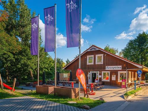  - 4 persons -  - Strandweg - 06901 - Kemberg