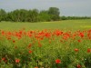 Bild 17
