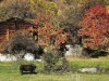 Image 28 - Outside