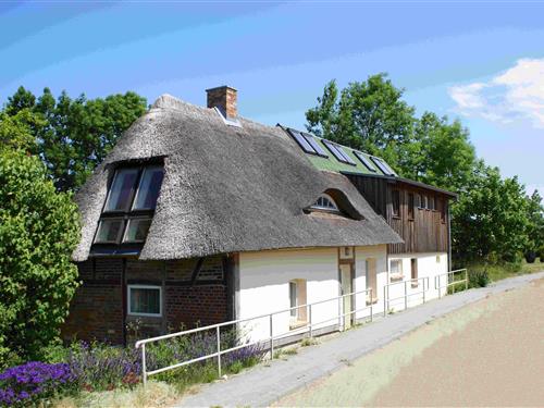 Holiday Home/Apartment - 12 persons -  - Dorfstraße - 23948 - Damshagen