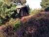 Bild 21 - Ude