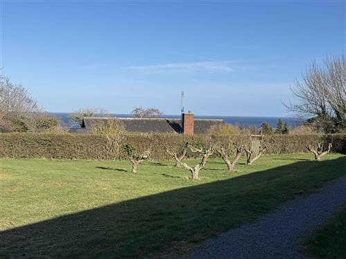 Ferieleilighet - 4 personer -  - Æblevej - 3770 - Allinge