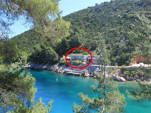Holiday apartment - 3 persons -  - Uvala Mala Pogorila 7, Bogomolje - 21468 - Bogomolje