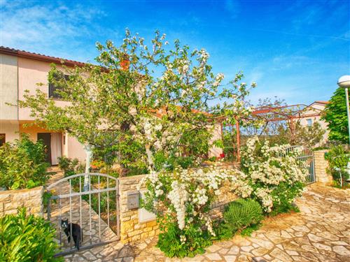 Holiday apartment - 4 persons -  - Pula/Banjole - 52100