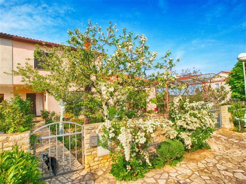 Ferieleilighet - 4 personer -  - Pula/Banjole - 52100