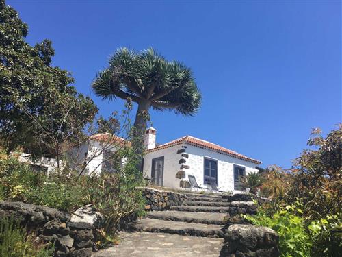 Holiday home - 3 persons -  - Camino la Maranta - 38730 - Mazo
