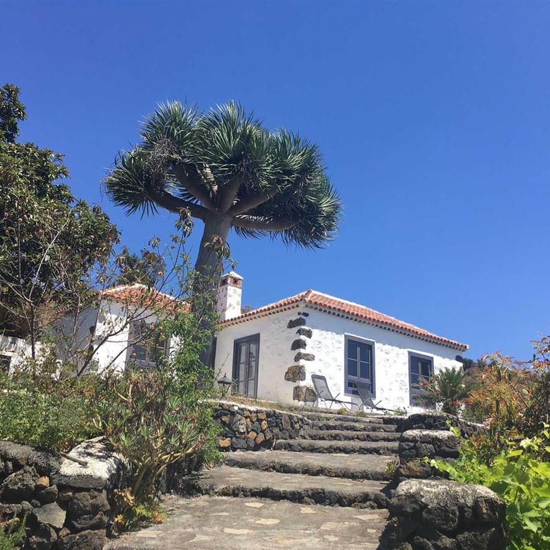 Sommerhus - 3 personer -  - Camino la Maranta - 38730 - Mazo