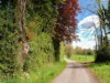Bilde 37
