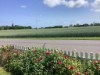 Bild 9 - Ude