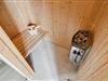 Image 8 - Sauna