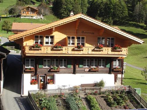 Holiday apartment - 2 persons -  - Grindelwald - 3818