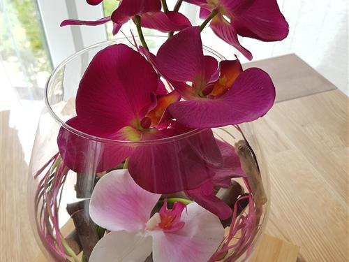 Semesterlägenhet - 7 personer -  - Sutrumer Straße - 48431 - Rheine