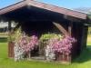 Bild 54