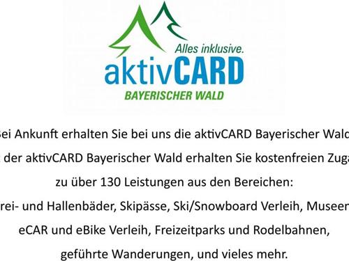 Ferielejlighed - 3 personer -  - Lehmgrubenweg - 94249 - Bodenmais