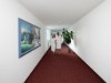 Bilde 7
