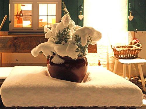 Slot / Borg - 4 personer -  - Neuwiese - 86911 - Dießen Ot Riederau