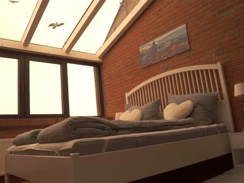 Ferieleilighet - 7 personer -  - Koogstraße - 25718 - Friedrichskoog