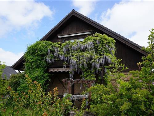 Sommerhus - 5 personer -  - 18442 - Neu Lüdershagen