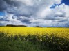 Bild 33 - Ude