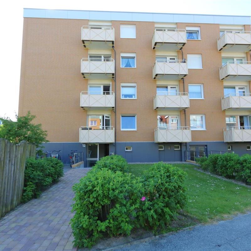 Sommerhus - 2 personer -  - theodor-Heuss-Straße - 25980 - Westerland Auf Sylt