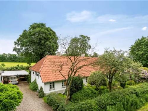 Ferienhaus - 4 Personen -  - Arnumvej - 6520 - Toftlund