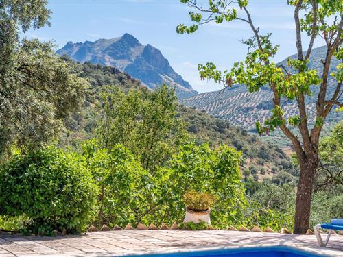 Sommerhus - 15 personer -  - CORTIJO CERRILLO JAULA, CO-7208, Km - 14800 - Priego De Córdoba