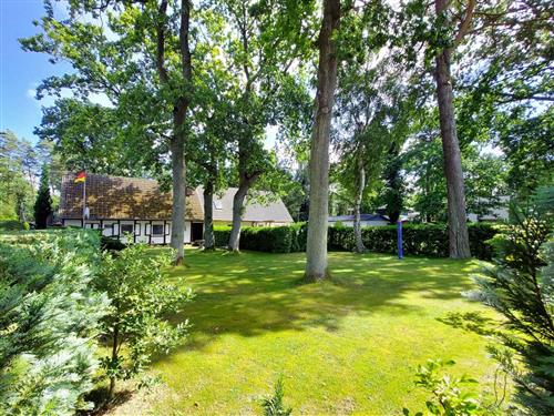Ferielejlighed - 2 personer -  - Wittower Heide - 18551 - Glowe