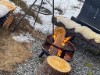 Image 14 - Activity