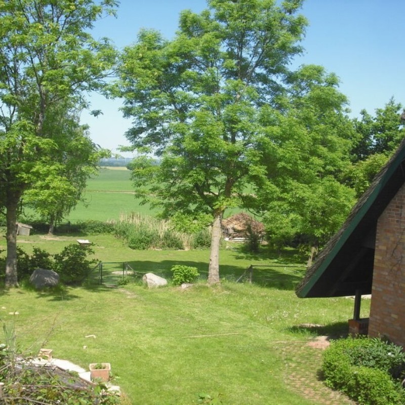 Sommerhus - 4 personer -  - 18233 - Carinerland Ot Neu Karin